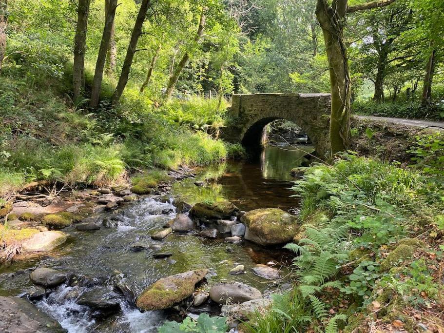 Bear Cottage, Tyn Y Cwm Eglwys-Fach Eksteriør billede