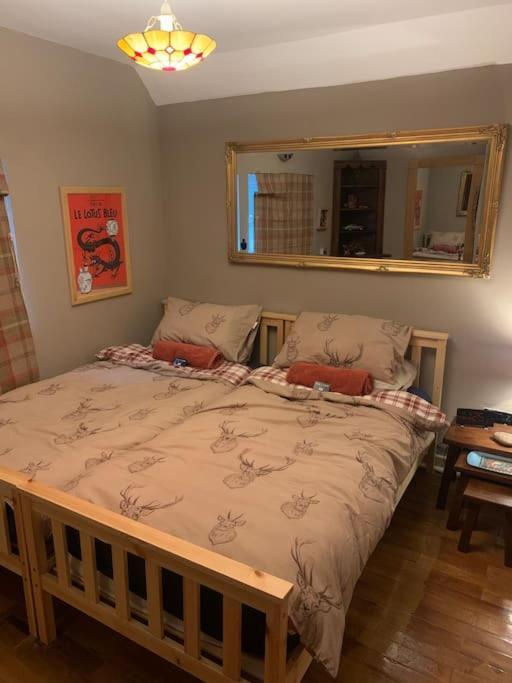 Bear Cottage, Tyn Y Cwm Eglwys-Fach Eksteriør billede