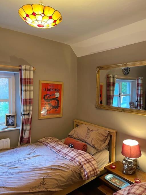 Bear Cottage, Tyn Y Cwm Eglwys-Fach Eksteriør billede